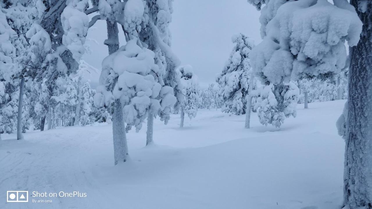 Apt 37 Rovaniemi Exterior foto